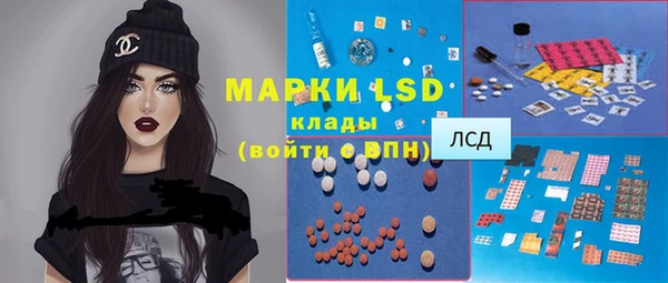 дмт Богданович