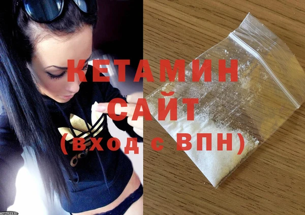дмт Богданович