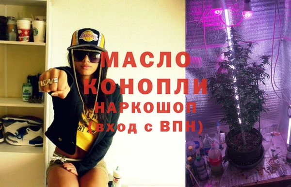 дмт Богданович