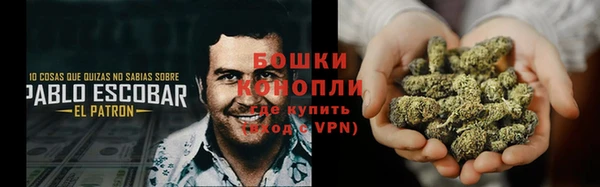 крисы Богородск