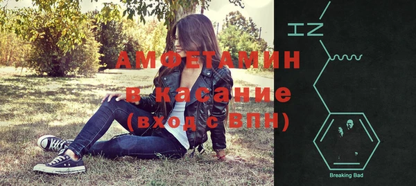 дмт Богданович