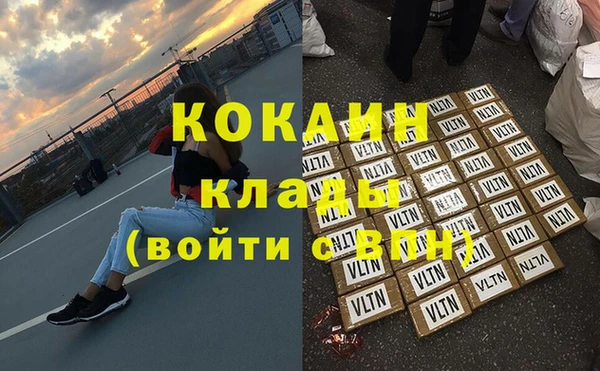 дмт Богданович