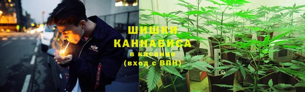 крисы Богородск