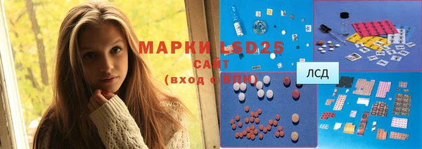 дмт Богданович