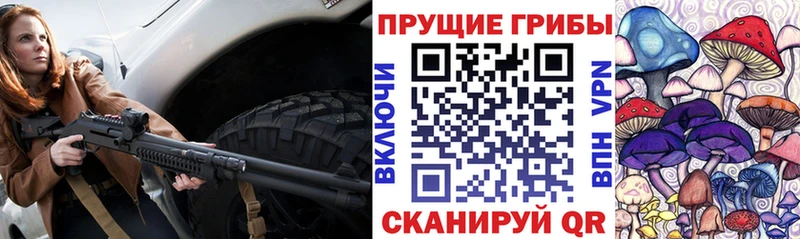 магазин  наркотиков  Кириллов  Галлюциногенные грибы прущие грибы 